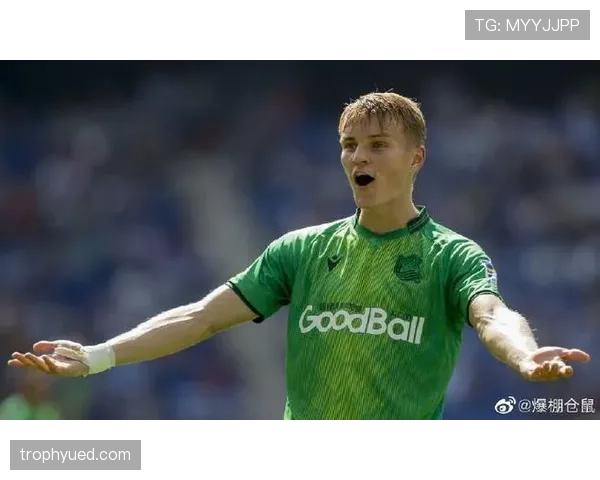 厄德高：从天才少年到成熟核心的荣誉与成长轨迹解析