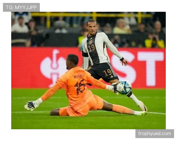 格列兹曼与萨内：前插频率分化，体系依赖度偏移