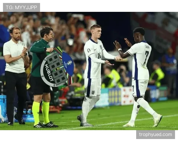 帕尔默与萨卡：成长路径差异与战术适配潜力解析