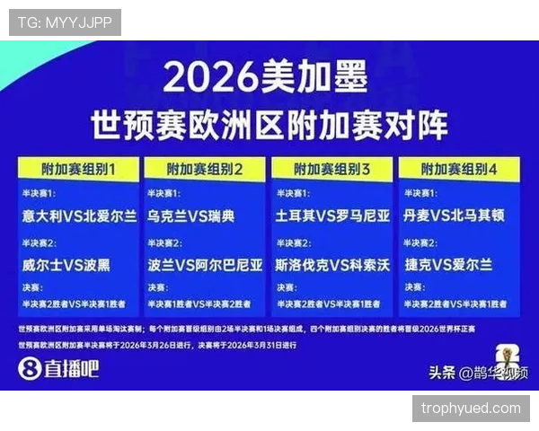 波黑冲击2026世界杯赛程前瞻:晋级之路与潜在对手分析 波黑冲击2026世界杯赛程前瞻:晋级之路与潜在对手分析